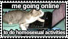 me going online to do homosexual activities