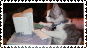 cat computering
