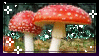 mushrooms