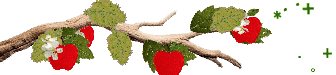 apple tree