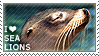 i love sea lions