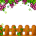 grape vine