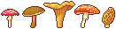 mushrooms