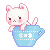 cup cat