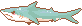 shark