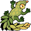 leafy geko