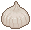 elephant garlic