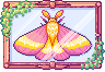 maple moth