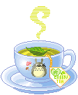 totoro cup