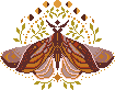 moon cicle moth