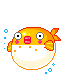 puffer fish