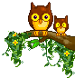 owls