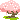 cherry blossom tree