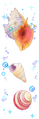 shells