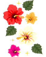 hibiscus