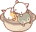 cat pot